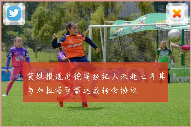 英媒报道厄德高经纪人未赴土耳其与加拉塔萨雷达成转会协议